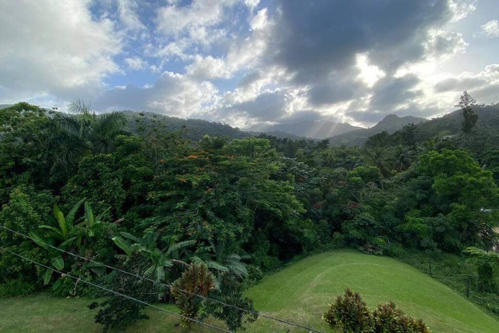 Rainforest Retreat 15 Min From The Beach Luquillo Esterno foto