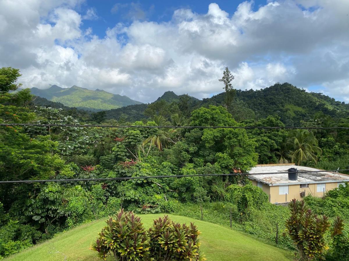 Rainforest Retreat 15 Min From The Beach Luquillo Esterno foto