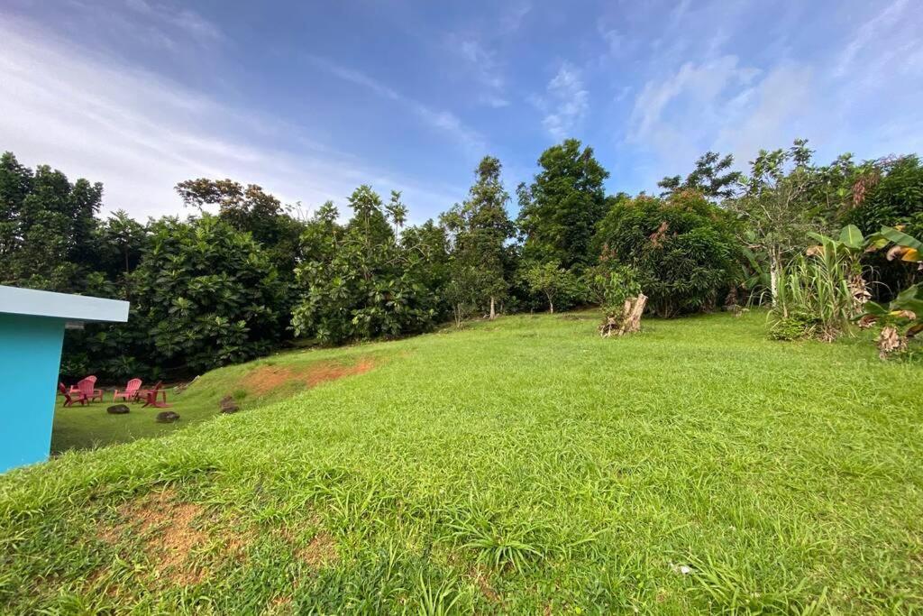 Rainforest Retreat 15 Min From The Beach Luquillo Esterno foto