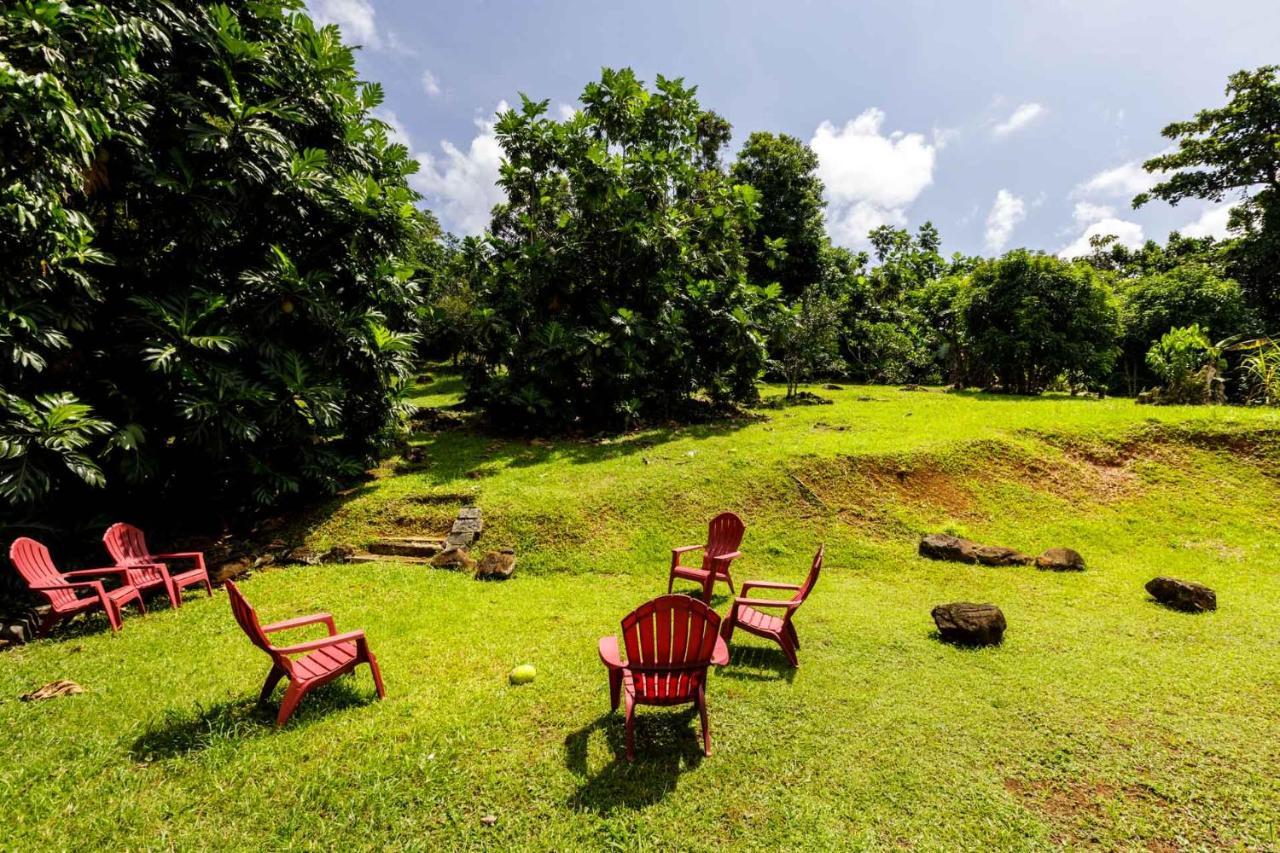 Rainforest Retreat 15 Min From The Beach Luquillo Esterno foto