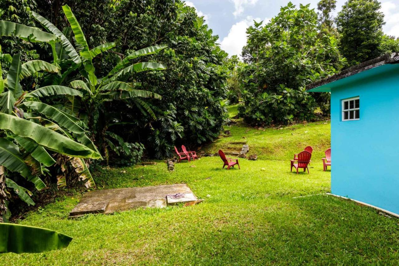 Rainforest Retreat 15 Min From The Beach Luquillo Esterno foto