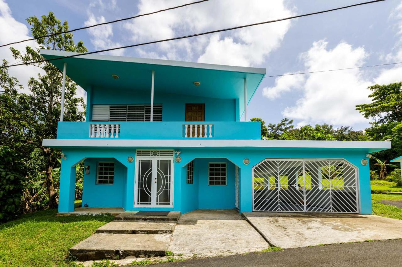 Rainforest Retreat 15 Min From The Beach Luquillo Esterno foto