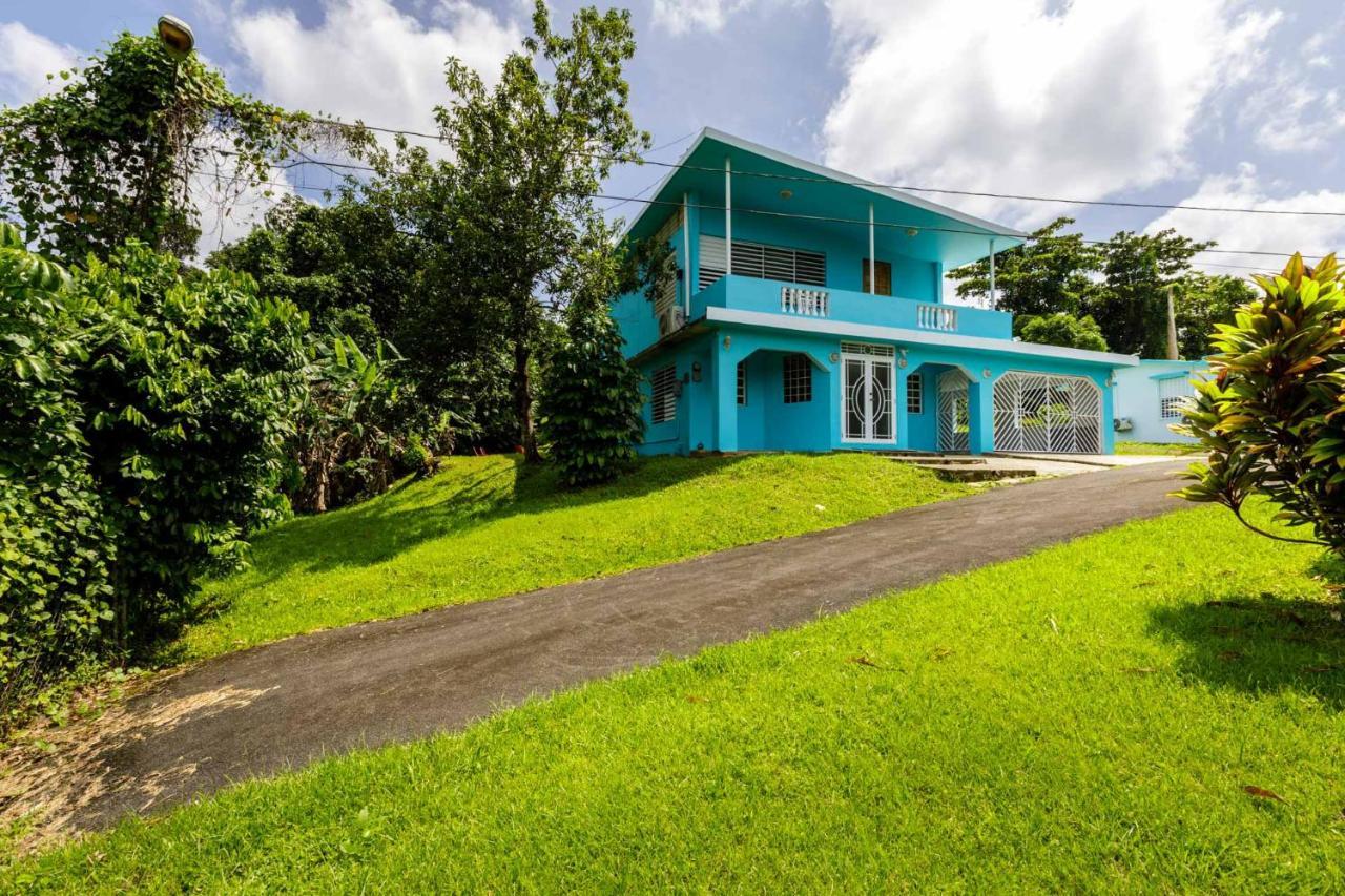 Rainforest Retreat 15 Min From The Beach Luquillo Esterno foto